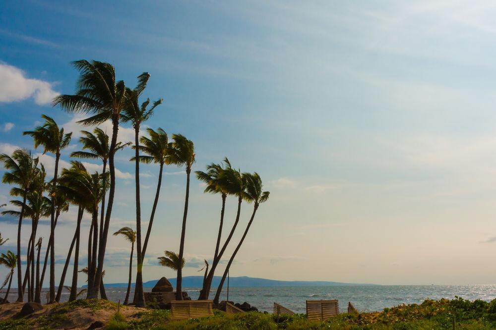 Kohea Kai Maui Hotel Kihei Exterior foto